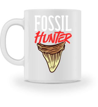 Haizähne Fossil Hai Zahn Paläontologe