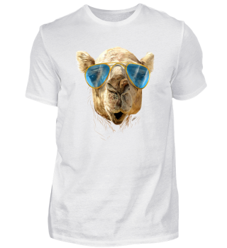 Kamel mit Sonnenbrille