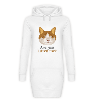 D007-0049P Are you kitten me cat - Poste