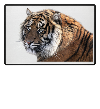 Real Tiger 3