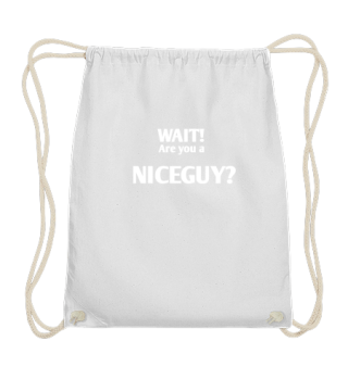 Niceguy Internet Gaming Shirt für Nerds