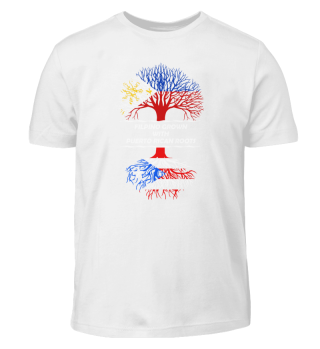 Philippinen gewachsen mit puerto-ricanischen Wurzeln-Flaggen