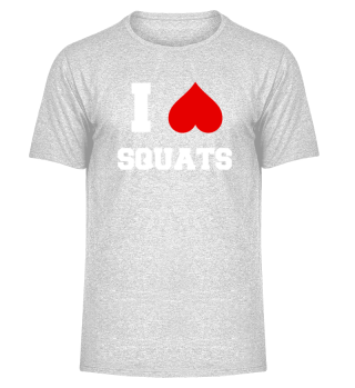 Squats Fitness Training Beine Körper