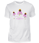 coneflower - sunflowers - Sonnenhut - rosa Blumen