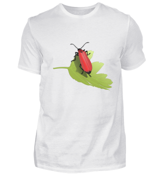 Geschenk Käfer Insekt Blatt Natur