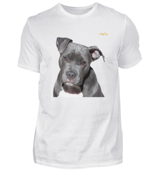 Mein tolles Hunde T-Shirt 69 - Lewup