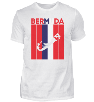 Bermudas Landesgrenze und Flagge