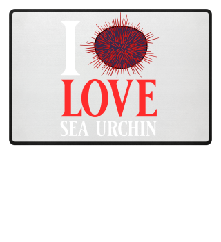 Sea Urchin Uni Gift Food Japan Shell