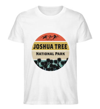 National Park Joshua Tree California Camping and Hiking