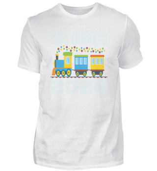 Big Sister 2020