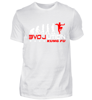 evolution love kung fu 