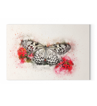 Leinwand Canvas Schmetterling Butterfly