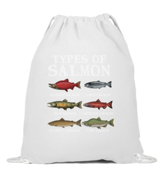 Salmon Lachs Salmondinen Fischen