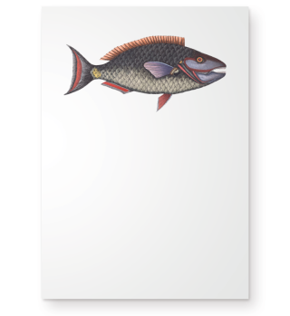 grauer Fisch