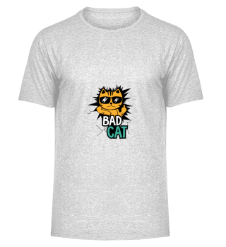 D004-0018 Bad Cat / Bad Kitty / Böse Kat