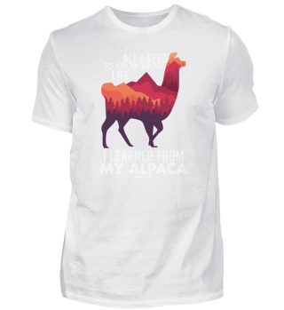 All I Need To Know About Life Alpaca