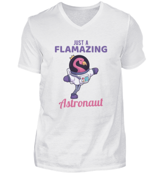 Astronaut Flamingo science Gift