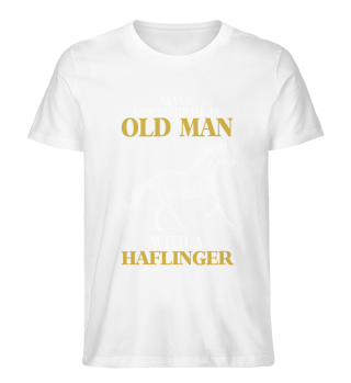 Haflinger riding horse stable old man wi