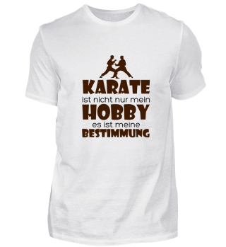 Karate ist nicht nur mein Hobby, es ist 