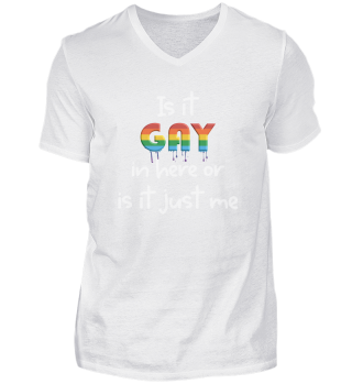 Is It Gay In Here Gender LGBTQ LGBT Pride Gifts