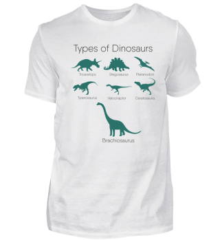 Types of Dinosaurs Dino T-Rex Gift