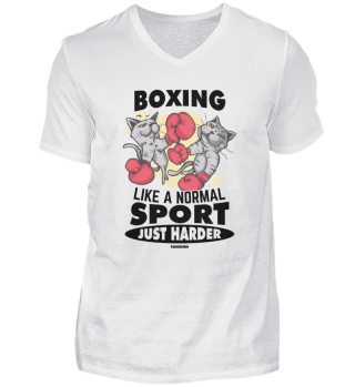 Boxing Like A Normal Sport Just Harder