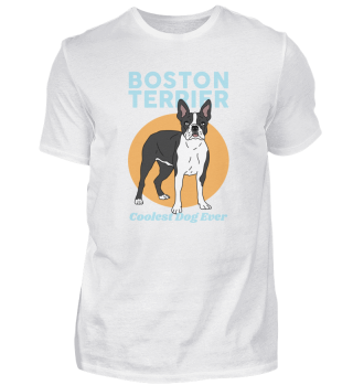 Boston Terrier Hunde Hundebesitzer