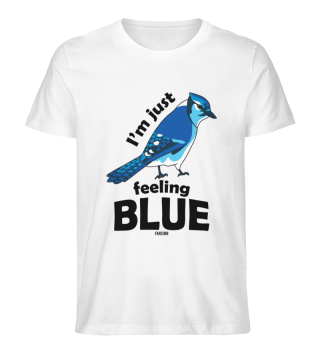 Spring feelings blue feathers bird