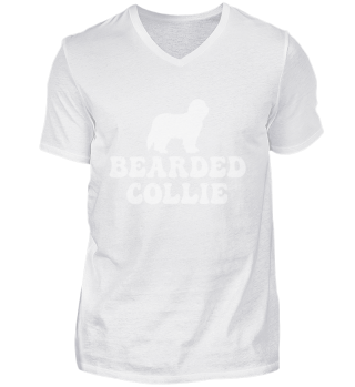 Bearded Collie Beardie