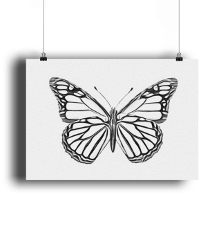 Butterfly Art Sketch Flying Empty Space Creature