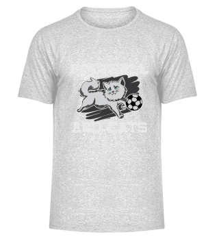 Football and cat gift ball idea kitty
