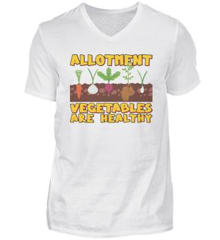 Allotment vegetables are healthy 