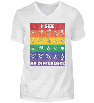 Gay Lesbian LGBT Pride I See No Difference T-Shirt