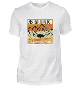 Grand Teton Büffel Wyoming Nationalpark Berge