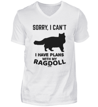 Plans with my Ragdoll cat