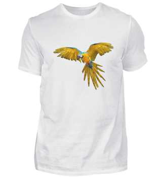 Papagai Polygon Bunter Vogel Kakadu