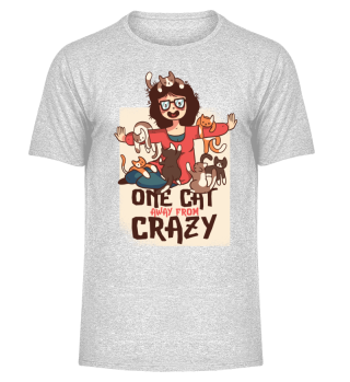 Crazy cat lady - funny