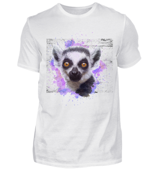Lemur Lemuren ffchen 