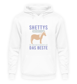 Shettys Geschenk Pferd Sport Dressur