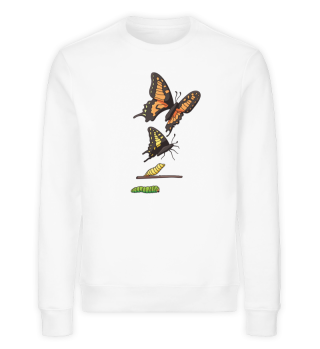 Tiermotiv- T-Shirt- Design mit Schmetterling- Lebenszyklus