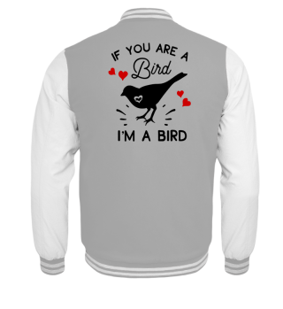 Valentines Day Bird Love Hearts T-Shirt