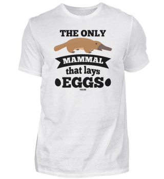 Beaker egg whitening mammal