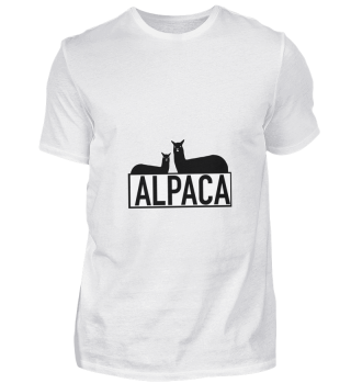 Alpaka Lama Südamerika