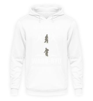 Wado-Ryu Karate - the Power of