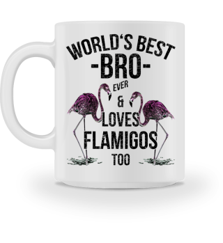 World's Best Bro & Loves Flamingos