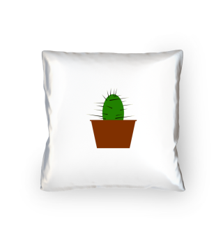Kaktus - Geschenkidee