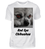 Bruce BW Red Eye Chihuahua