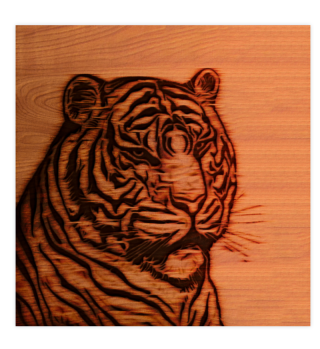 Tiger Art Wooden African Texture Nature