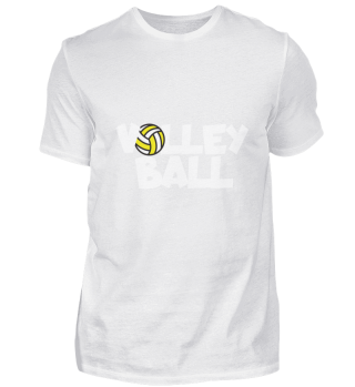Volleyball ball groß
