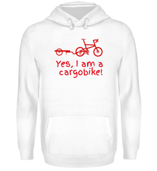 Yes, I am a cargobike!